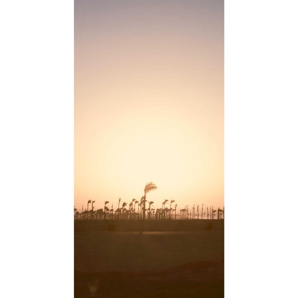 DO NOT BUY: Generic Frozen Salad - Picture 4 of 6